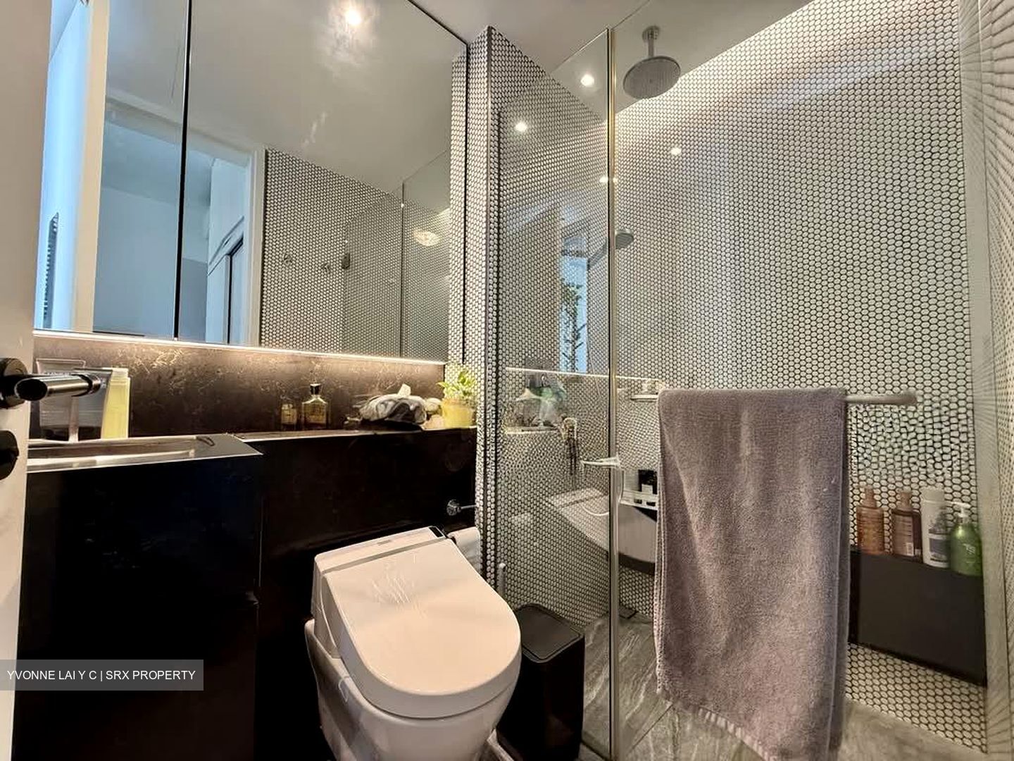 10 Evelyn (D11), Apartment #583705491